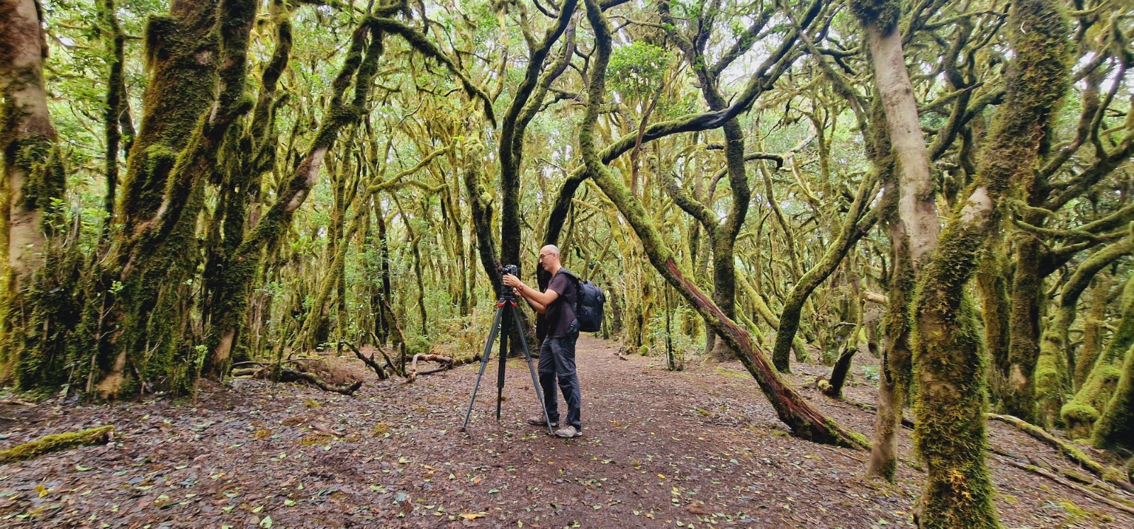 Imagen de La productora alemana 1080 Wildlife se desplaza a La Gomera para filmar dos documentales de fauna salvaje