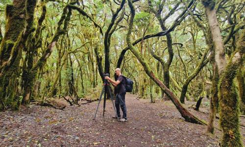 Imagen de La productora alemana 1080 Wildlife se desplaza a La Gomera para filmar dos documentales de fauna salvaje