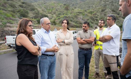 Imagen de El Cabildo inicia los trabajos de eliminación de la caña común en los barrancos de Hermigua y Valle Gran Rey