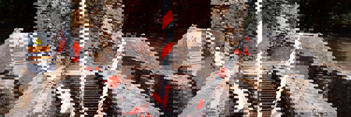 Imagen de El Cabildo de La Gomera activa medidas preventivas ante la alerta por riesgo de incendios forestales