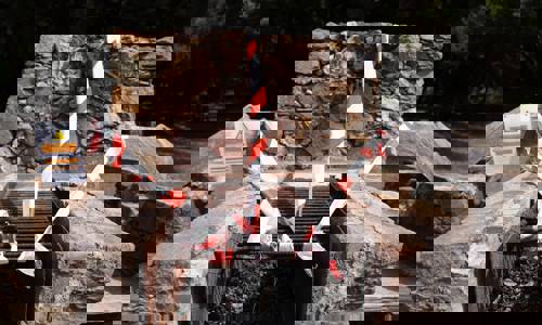 Imagen de El Cabildo de La Gomera activa medidas preventivas ante la alerta por riesgo de incendios forestales